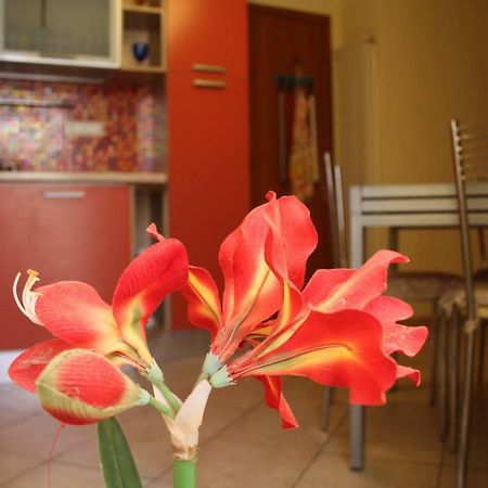 Pisa Town Bed & Breakfast Dış mekan fotoğraf
