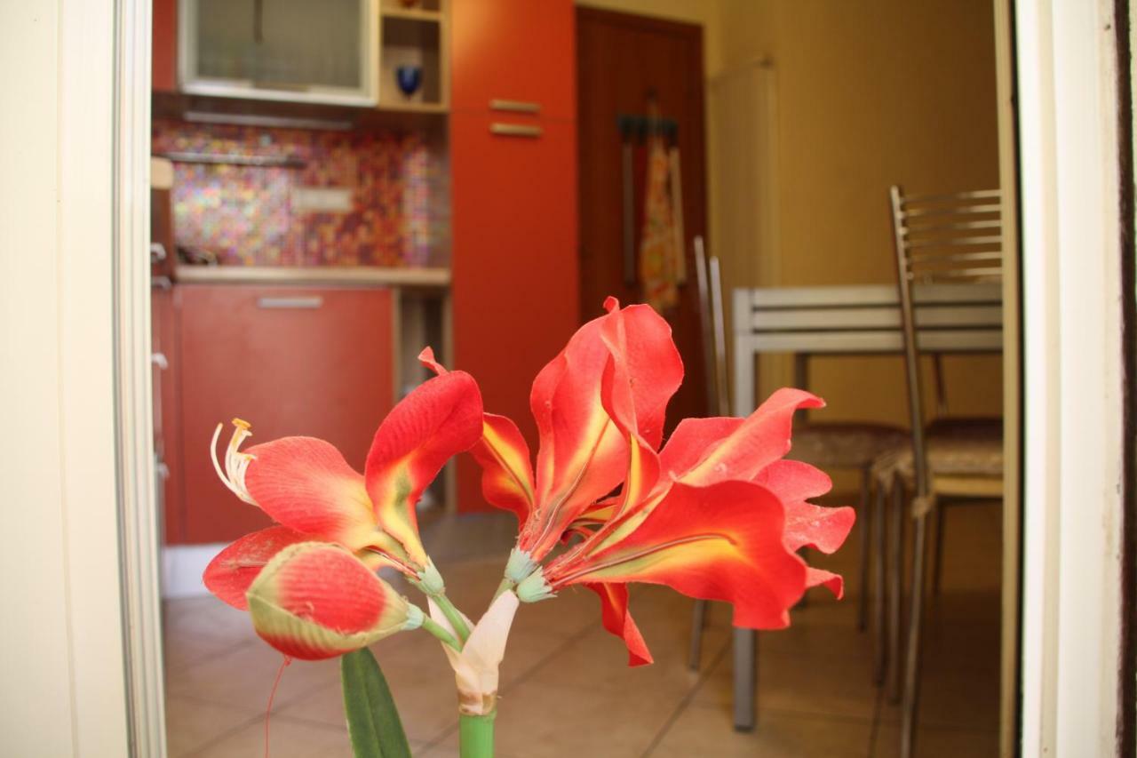 Pisa Town Bed & Breakfast Dış mekan fotoğraf