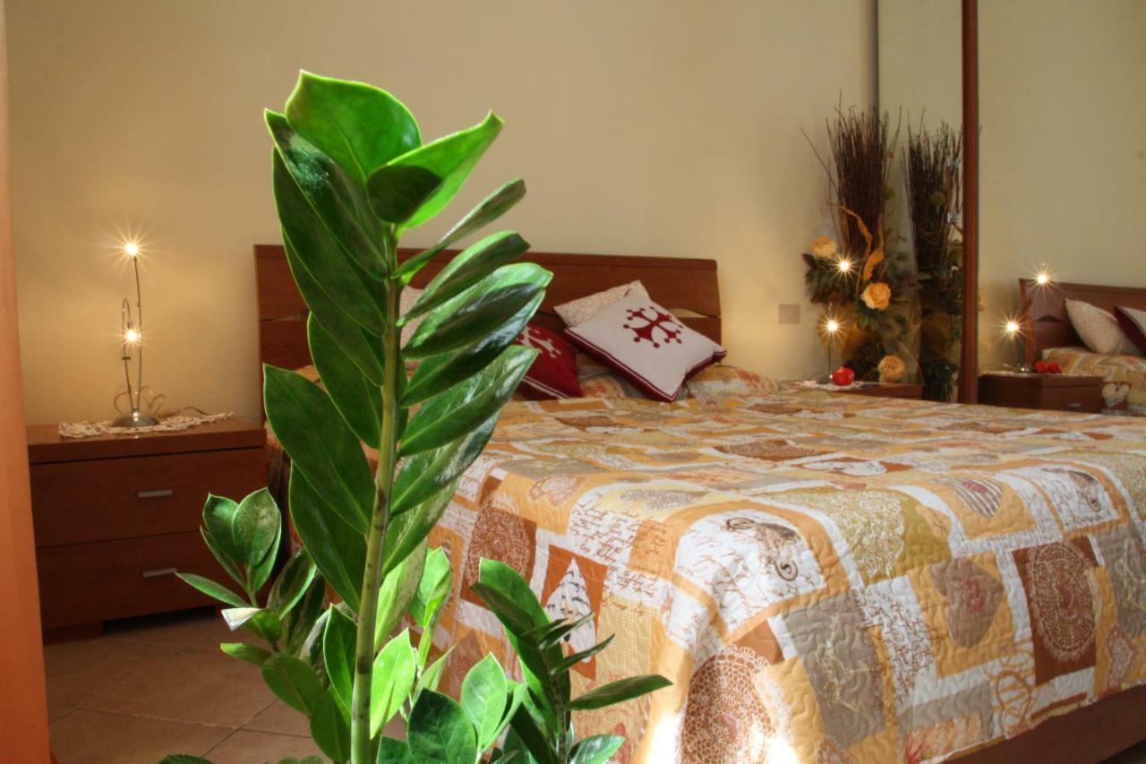 Pisa Town Bed & Breakfast Dış mekan fotoğraf