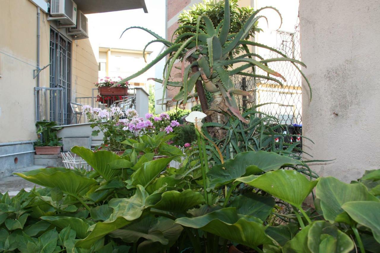 Pisa Town Bed & Breakfast Dış mekan fotoğraf