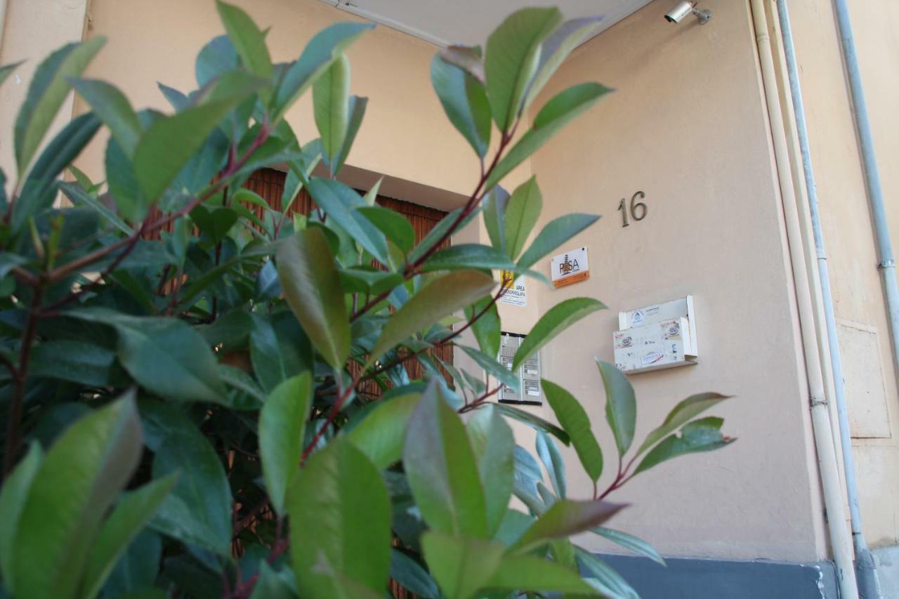 Pisa Town Bed & Breakfast Dış mekan fotoğraf
